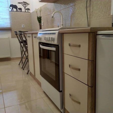 Studio Apartman Zdral Daruvar Dış mekan fotoğraf