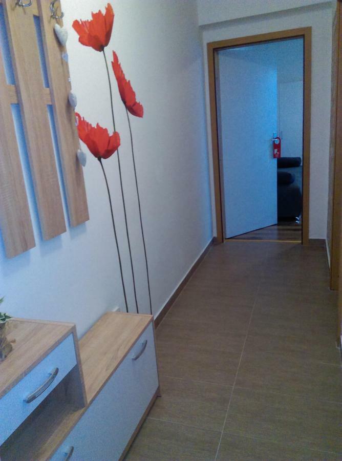 Studio Apartman Zdral Daire Daruvar Dış mekan fotoğraf