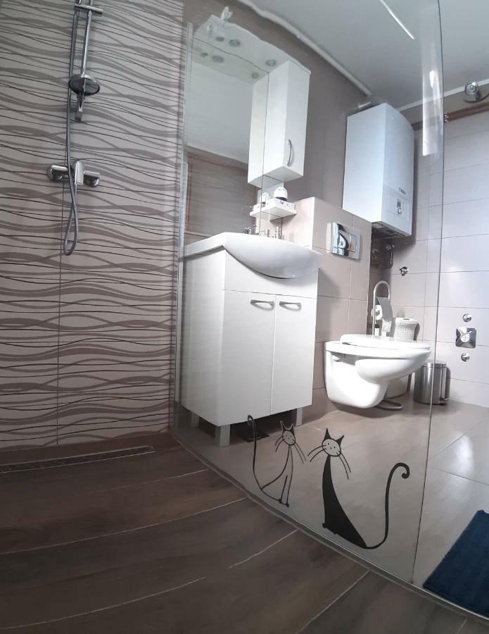 Studio Apartman Zdral Daire Daruvar Dış mekan fotoğraf