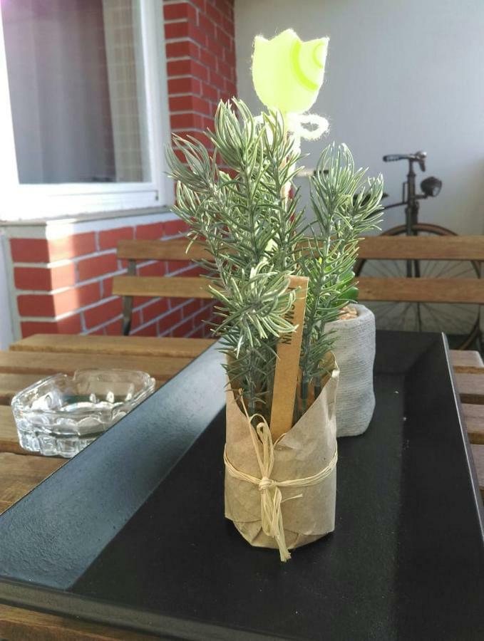Studio Apartman Zdral Daruvar Dış mekan fotoğraf